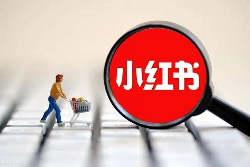 小紅書(shū)怎么種草?